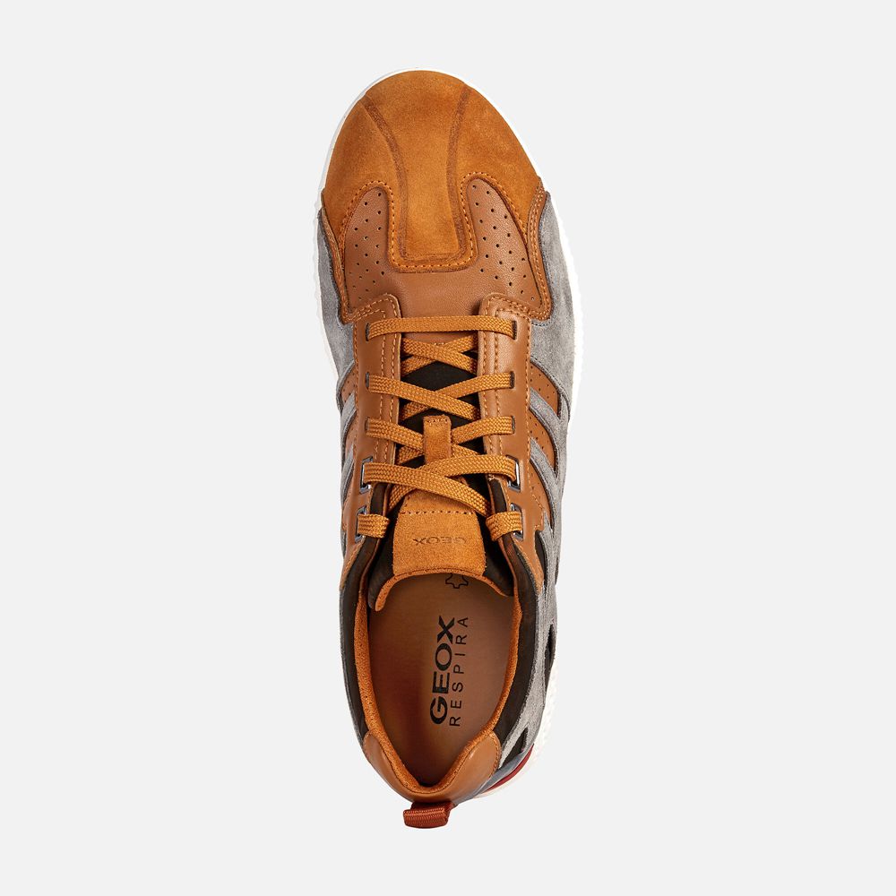 Tenis Geox Homem Laranja/Cinzentas - Snake.2 - FYGUB5160